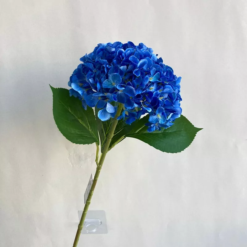 Cur homines potius artificialis flores in nova flores?