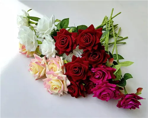 Et environmental beneficia de usura artificialis flores