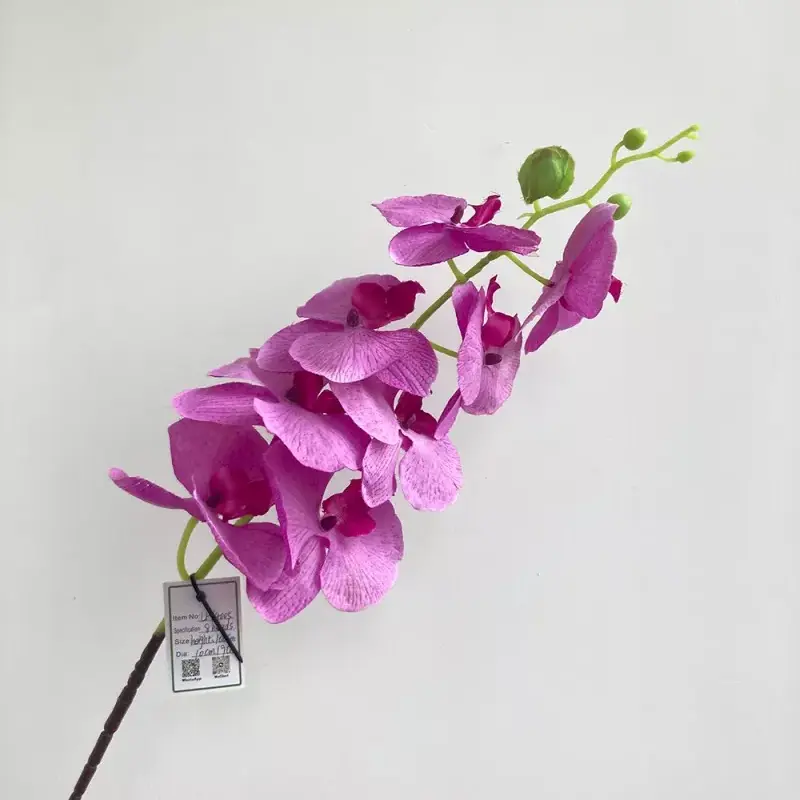 VIII capita sericum artificialis Orchid