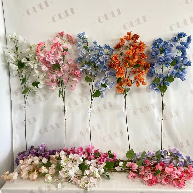 Artificialis Bougainvillea genere