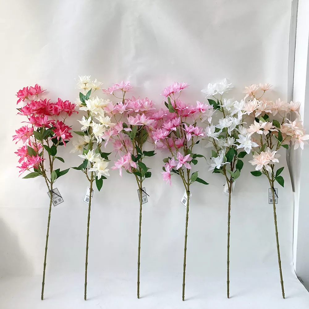 Artificialis cerasus flores ramis