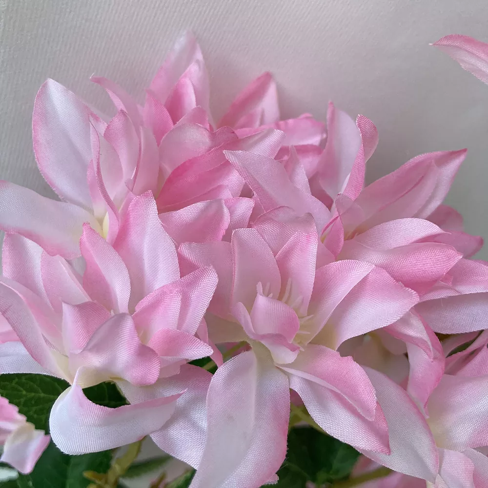 Artificialis cerasus flores ramis