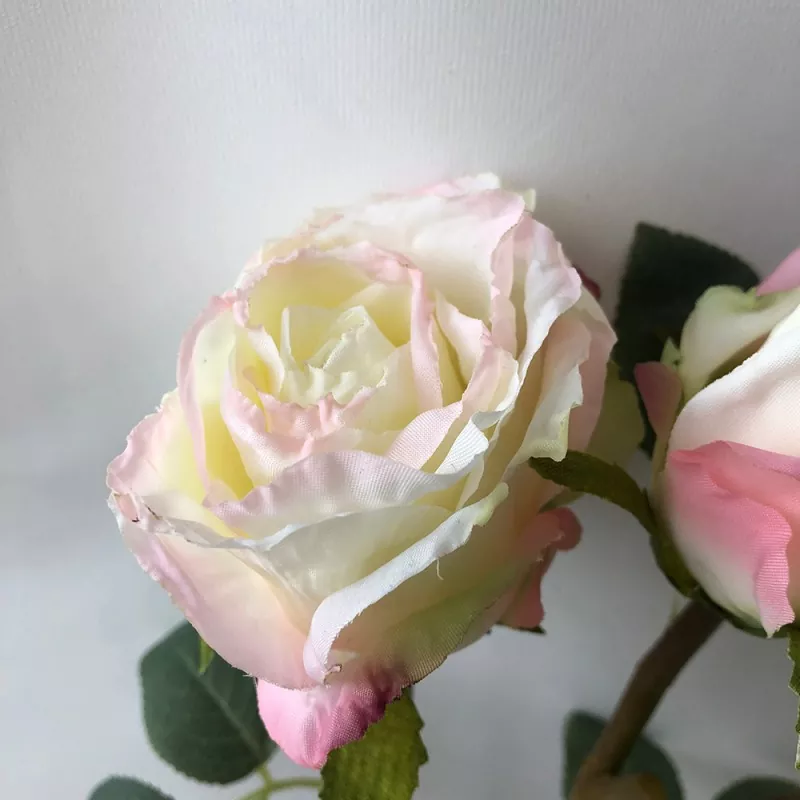 Artificialis rosa Ray