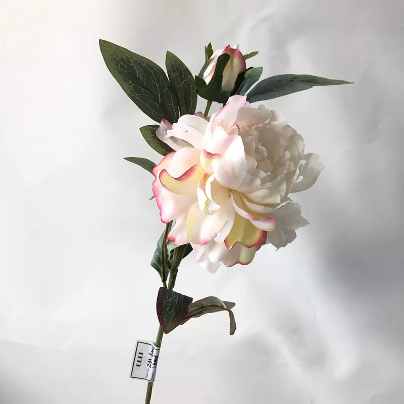 Elegans faux AGLAY