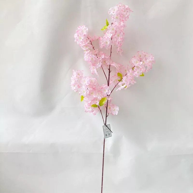 Fake cerasus flores ramis