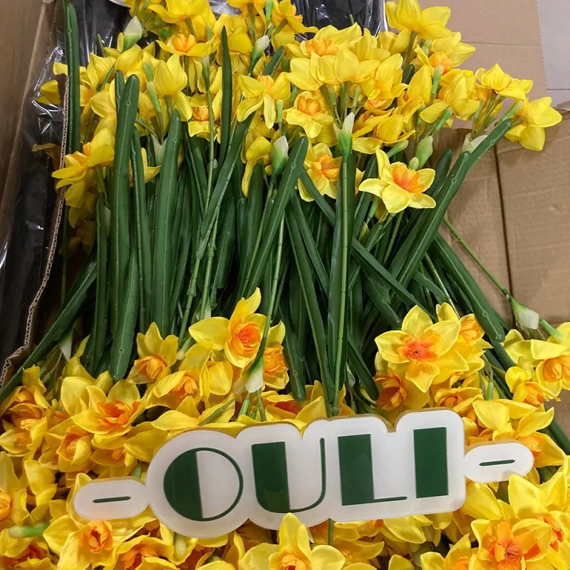 Fake Daffodil
