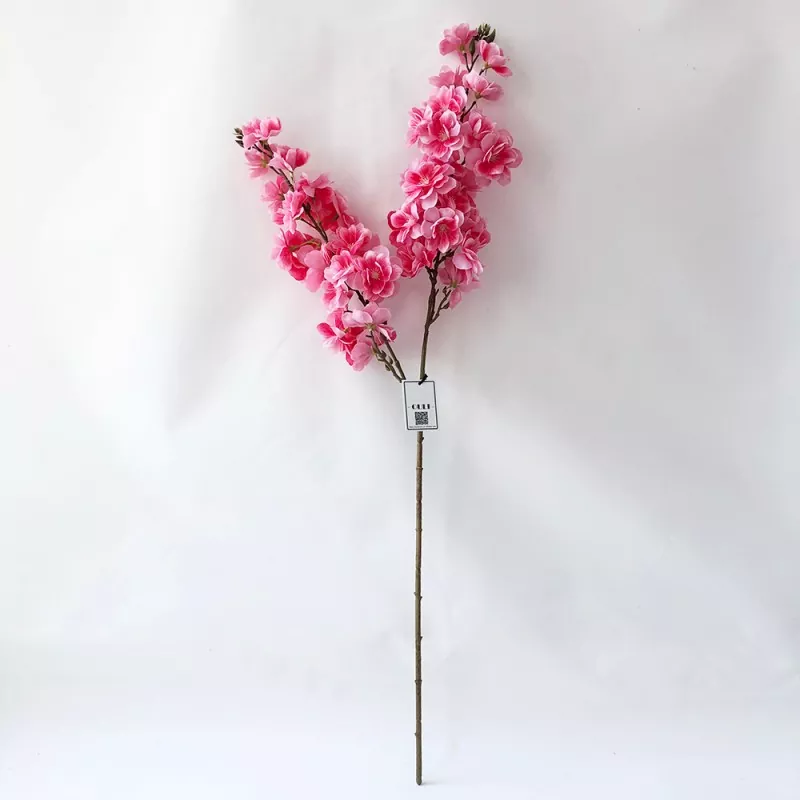 Fake Fuji Cerasus flores flores