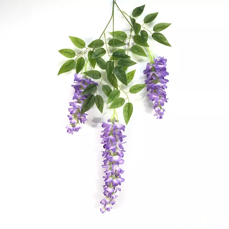 Fake Wisteria rami