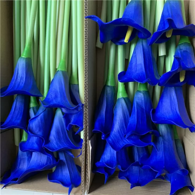 Artificialis Calla lilium