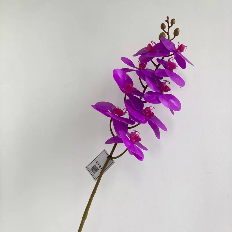 Verus tactus artificialis Orchid