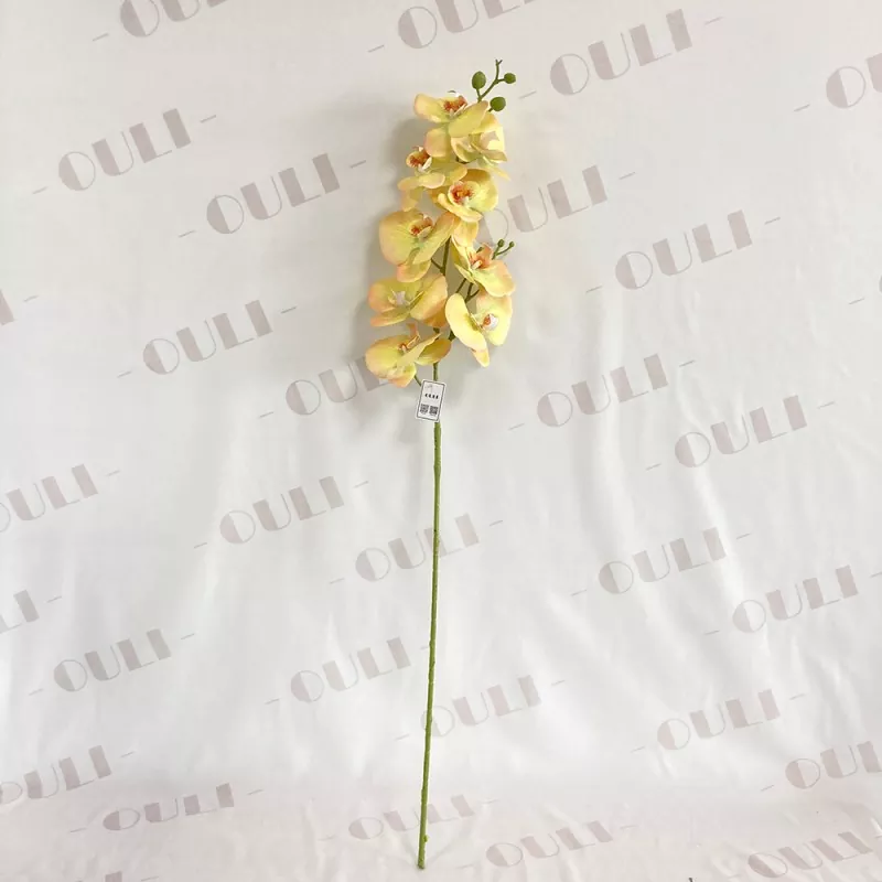 Verus tactus Faux Orchid