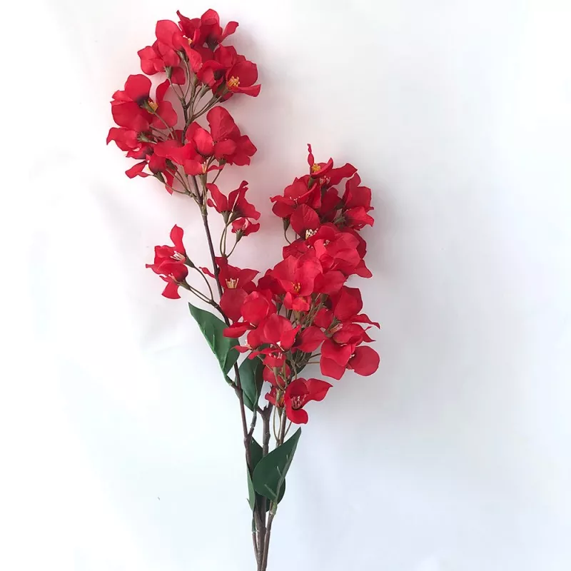 Sericum Bougainvillea Flos RAMULUS