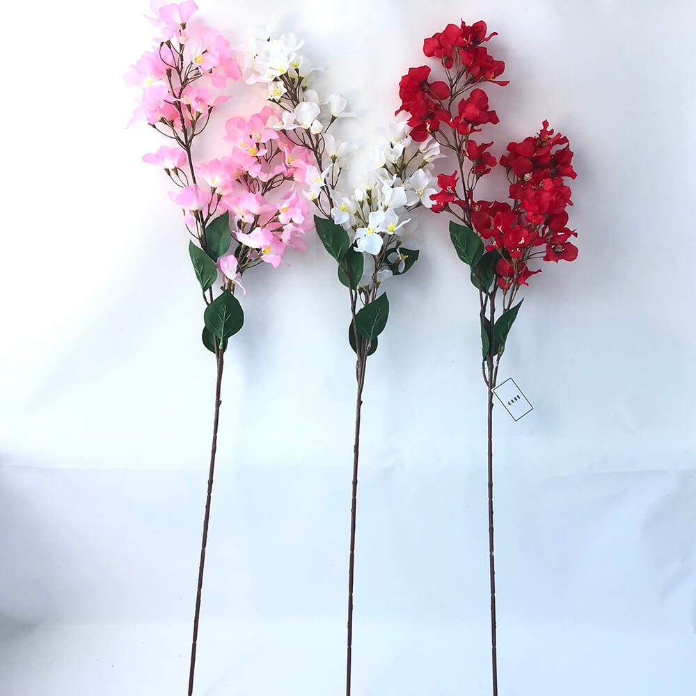 Sericum Bougainvillea Flos RAMULUS