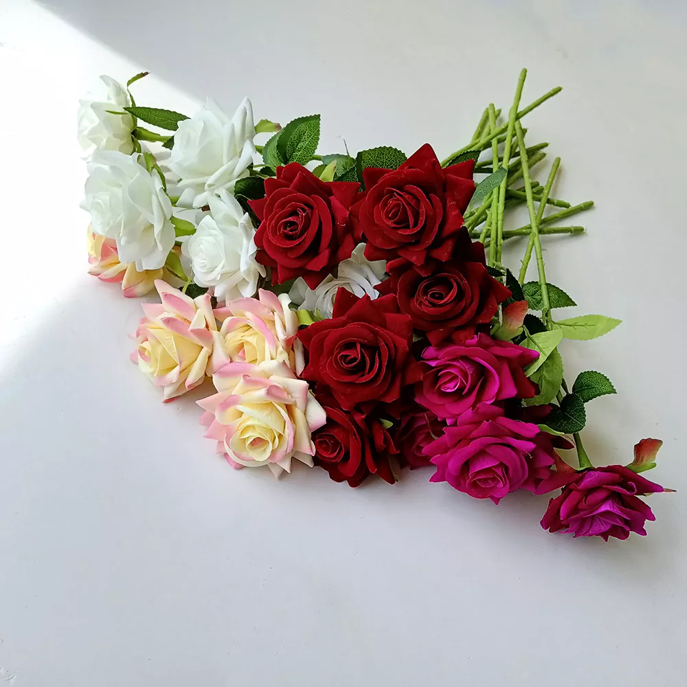 Velvet resurrexit sericum flores
