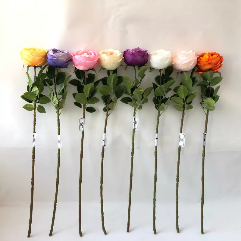 Alba Fake AGLAOPHYLES flores